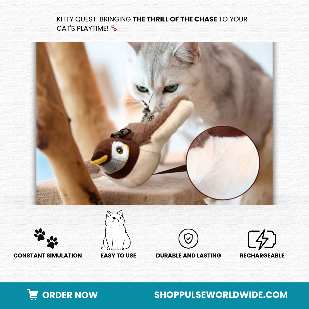 KITTY QUEST™ (FREE SHIPPING THIS WEEK ONLY!) SHOPPULSEEXCLUSIVE