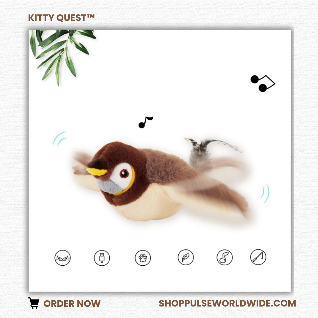 KITTY QUEST™ (FREE SHIPPING THIS WEEK ONLY!) SHOPPULSEEXCLUSIVE