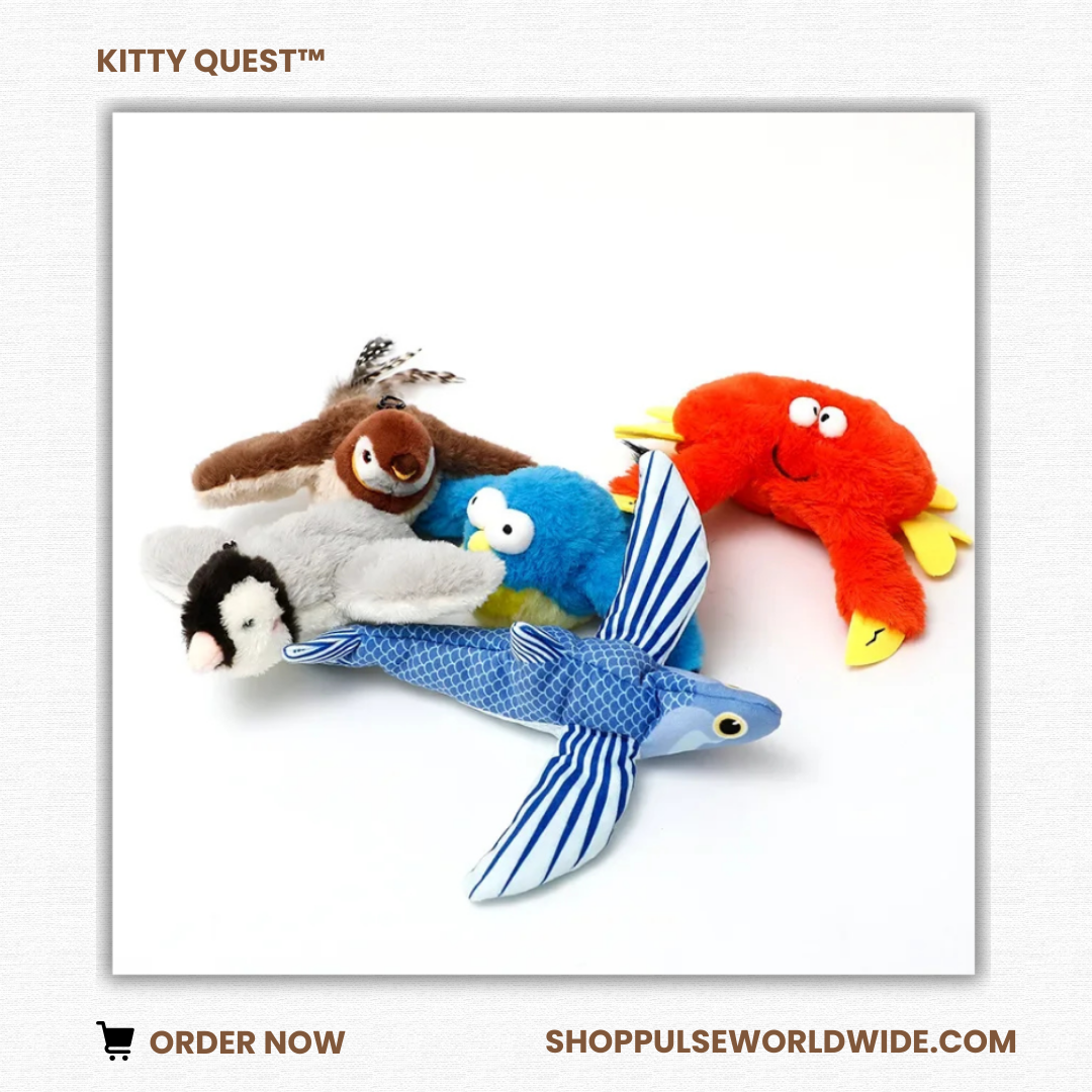 KITTY QUEST™ (FREE SHIPPING THIS WEEK ONLY!) SHOPPULSEEXCLUSIVE